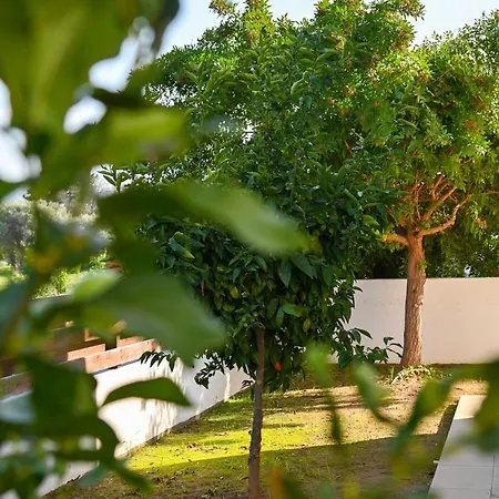 Merope Irena 1 Villa Polis