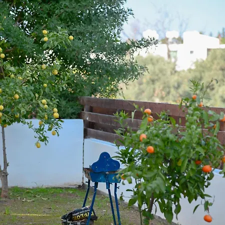 Merope Irena 1 Polis