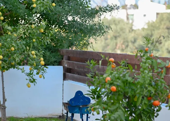 Merope Irena 1 Polis